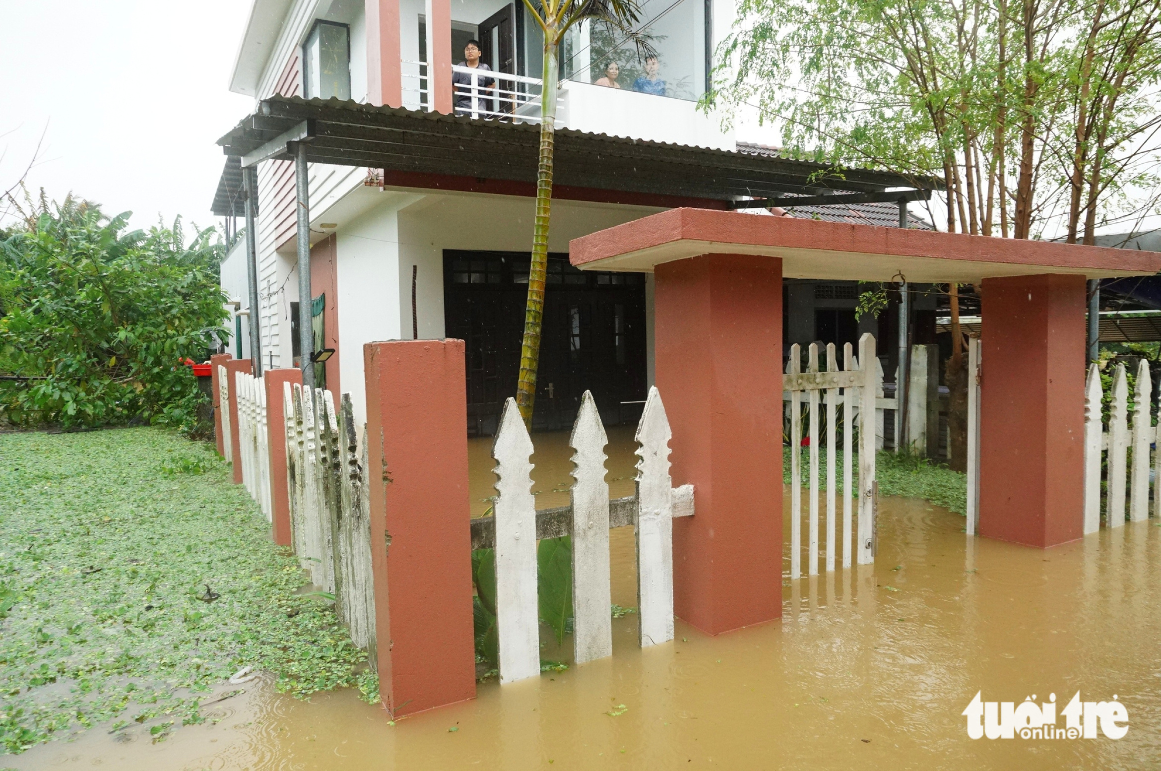 岘港洪水区域的图像:白茫茫的水,居民划船出行